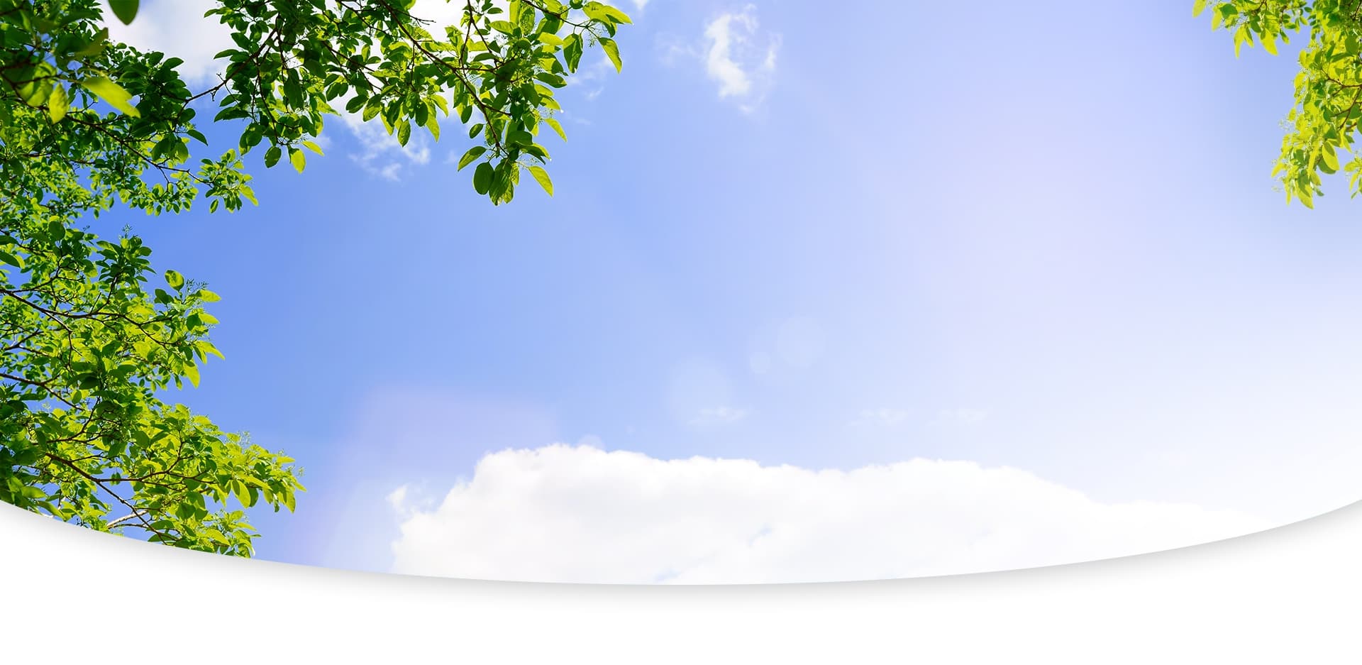 社会福祉法人 福岡障害者支援センター：青空の風景