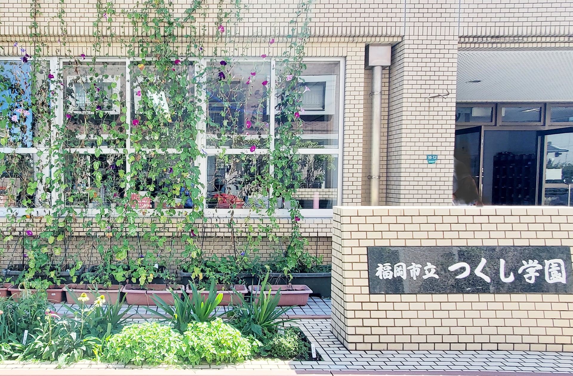 福岡市立つくし学園の外観写真