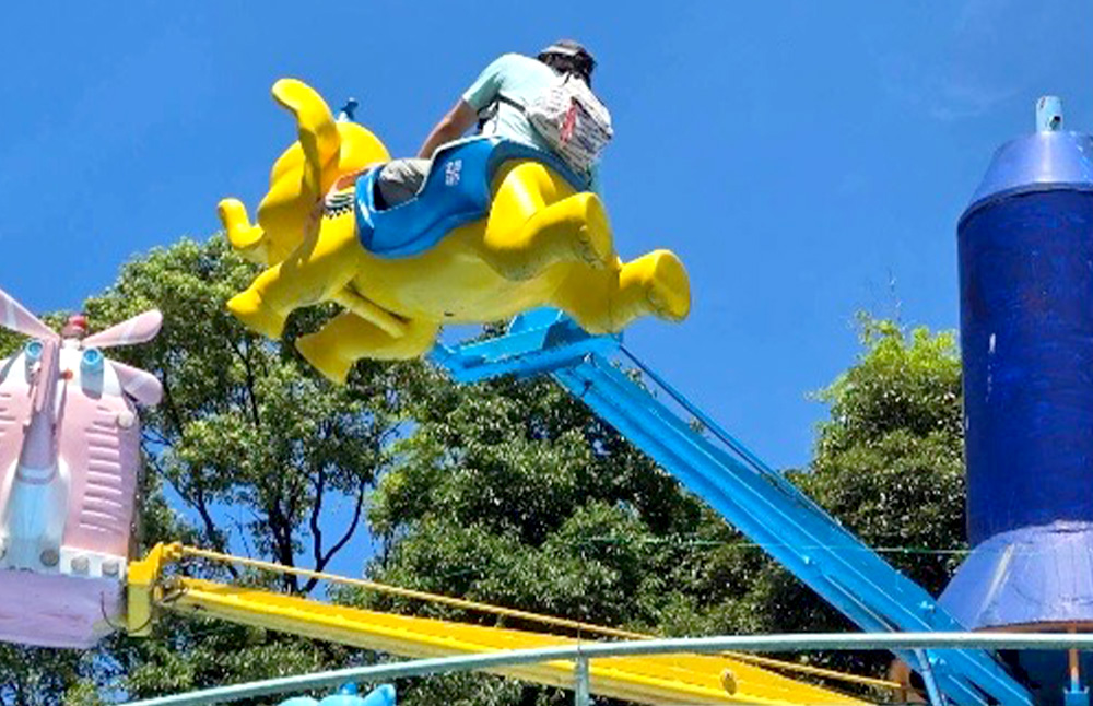 ヘルパーおおほりの外出支援